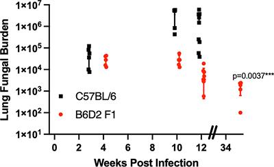 TNFα Blockade Inhibits Both Initial and Continued Control of Pulmonary Coccidioides